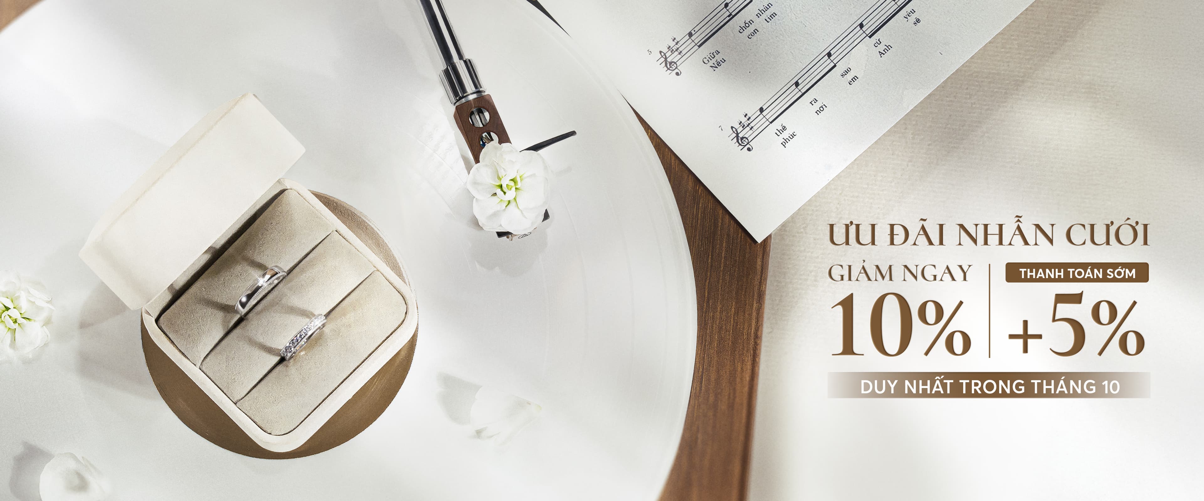 Tierra Diamond Banner