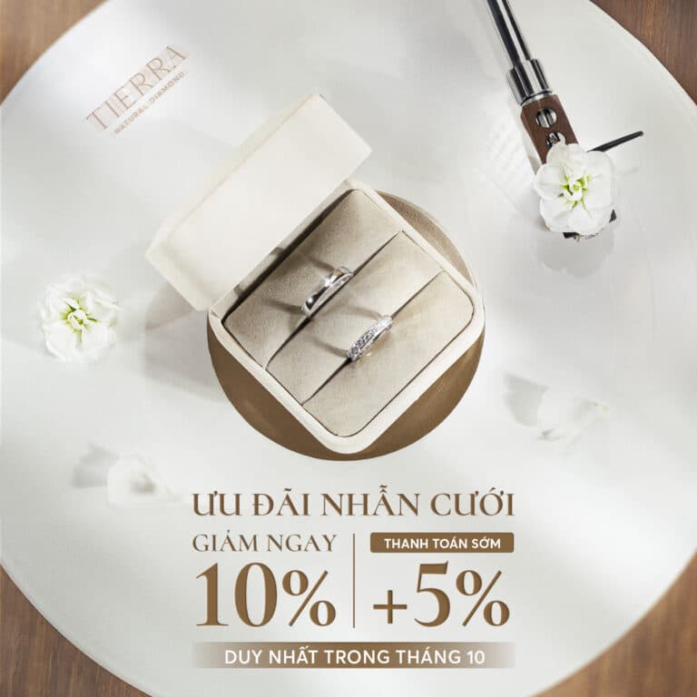 Tierra Diamond Banner